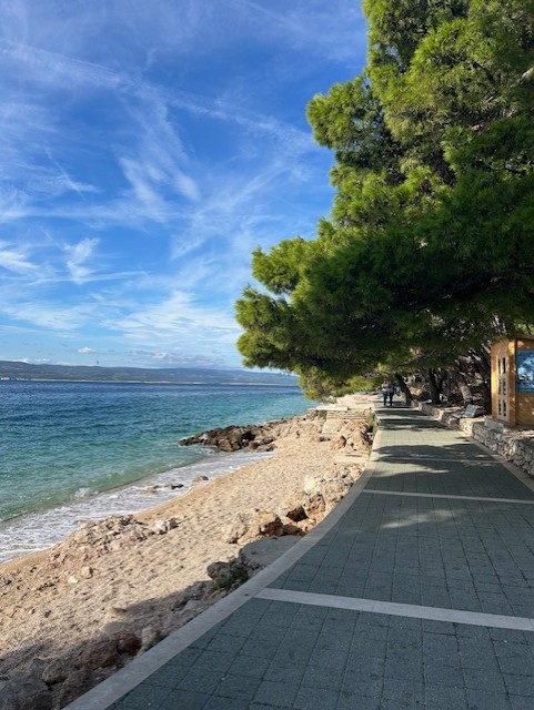 Fina promenadvgar lngs stranden